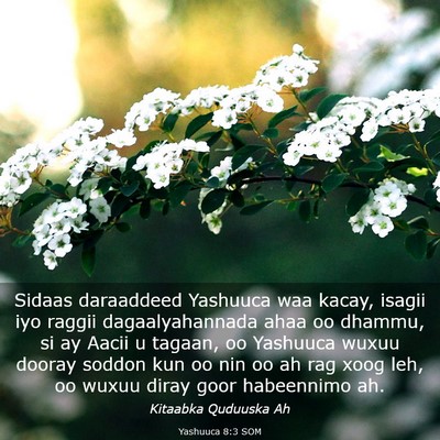 Picture 03 - Yashuuca 8:3 SOM - Sidaas daraaddeed Yashuuca waa kacay, isagii iyo - Bible Verse Picture