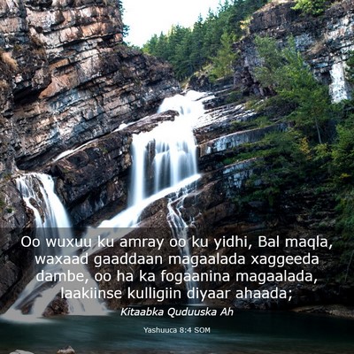 Picture 03 - Yashuuca 8:4 SOM - Oo wuxuu ku amray oo ku yidhi, Bal maqla, waxaad - Bible Verse Picture