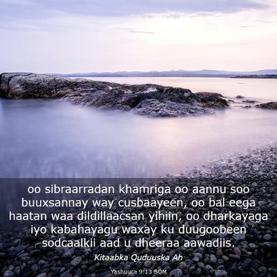 Picture 03 - Yashuuca 9:13 SOM - oo sibraarradan khamriga oo aannu soo buuxsannay - Bible Verse Picture