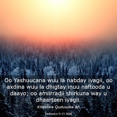 Picture 03 - Yashuuca 9:15 SOM - Oo Yashuucana wuu la nabday iyagii, oo axdina wuu - Bible Verse Picture