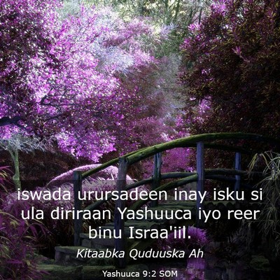 Picture 03 - Yashuuca 9:2 SOM - iswada urursadeen inay isku si ula diriraan - Bible Verse Picture