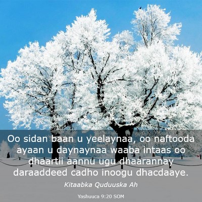 Picture 03 - Yashuuca 9:20 SOM - Oo sidan baan u yeelaynaa, oo naftooda ayaan u - Bible Verse Picture