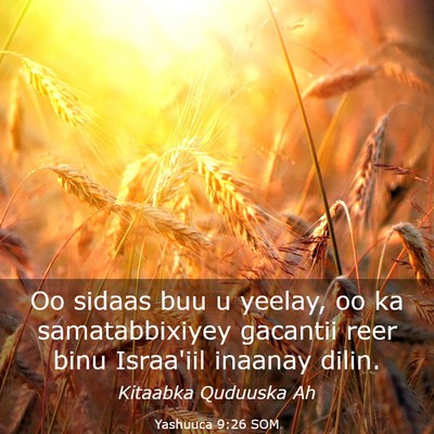 Picture 03 - Yashuuca 9:26 SOM - Oo sidaas buu u yeelay, oo ka samatabbixiyey - Bible Verse Picture