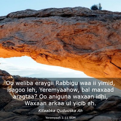 Picture 03 - Yeremyaah 1:11 SOM - Oo weliba eraygii Rabbigu waa ii yimid, isagoo - Bible Verse Picture