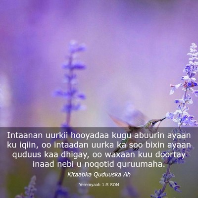 Picture 03 - Yeremyaah 1:5 SOM - Intaanan uurkii hooyadaa kugu abuurin ayaan ku - Bible Verse Picture