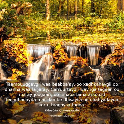 Picture 03 - Yeremyaah 10:20 SOM - Taambuuggaygii waa baabba'ay, oo xadhkahaygii oo - Bible Verse Picture