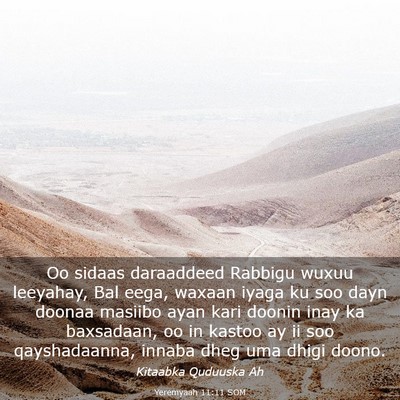 Picture 03 - Yeremyaah 11:11 SOM - Oo sidaas daraaddeed Rabbigu wuxuu leeyahay, Bal - Bible Verse Picture
