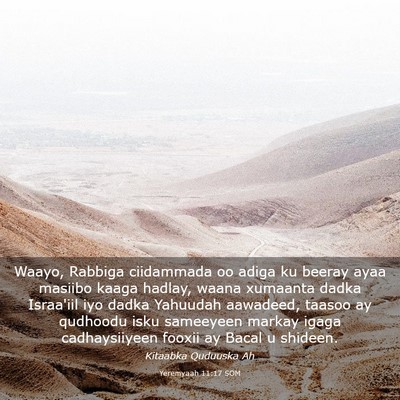 Picture 03 - Yeremyaah 11:17 SOM - Waayo, Rabbiga ciidammada oo adiga ku beeray ayaa - Bible Verse Picture
