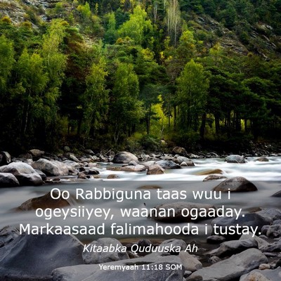 Picture 03 - Yeremyaah 11:18 SOM - Oo Rabbiguna taas wuu i ogeysiiyey, waanan - Bible Verse Picture