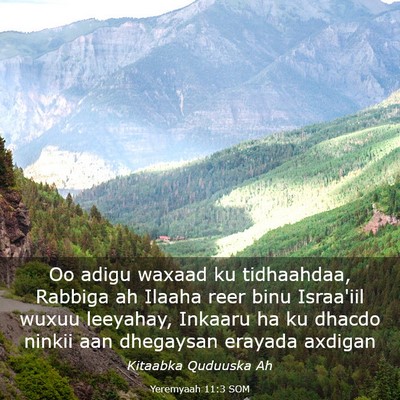 Picture 03 - Yeremyaah 11:3 SOM - Oo adigu waxaad ku tidhaahdaa, Rabbiga ah Ilaaha - Bible Verse Picture