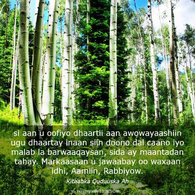 Picture 03 - Yeremyaah 11:5 SOM - si aan u oofiyo dhaartii aan awowayaashiin ugu - Bible Verse Picture