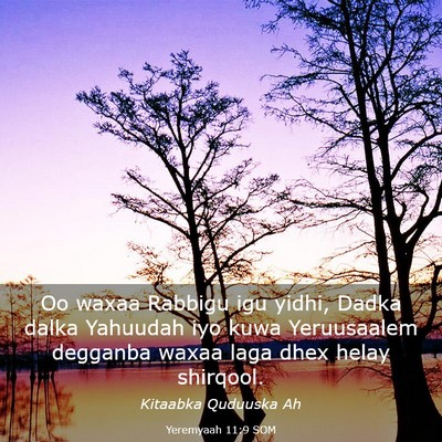 Picture 03 - Yeremyaah 11:9 SOM - Oo waxaa Rabbigu igu yidhi, Dadka dalka Yahuudah - Bible Verse Picture