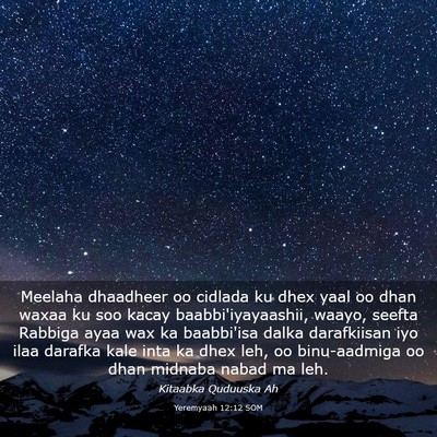 Picture 03 - Yeremyaah 12:12 SOM - Meelaha dhaadheer oo cidlada ku dhex yaal oo dhan - Bible Verse Picture