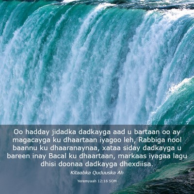 Picture 03 - Yeremyaah 12:16 SOM - Oo hadday jidadka dadkayga aad u bartaan oo ay - Bible Verse Picture