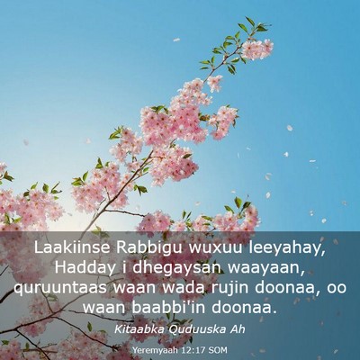 Picture 03 - Yeremyaah 12:17 SOM - Laakiinse Rabbigu wuxuu leeyahay, Hadday i - Bible Verse Picture