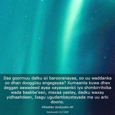 Picture 03 - Yeremyaah 12:4 SOM - Ilaa goormuu dalku sii barooranayaa, oo uu - Bible Verse Picture
