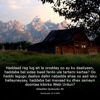 Picture 03 - Yeremyaah 12:5 SOM - Haddaad rag lug ah la orodday oo ay ku daaliyeen, - Bible Verse Picture