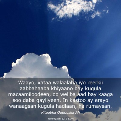 Picture 03 - Yeremyaah 12:6 SOM - Waayo, xataa walaalaha iyo reerkii aabbahaaba - Bible Verse Picture