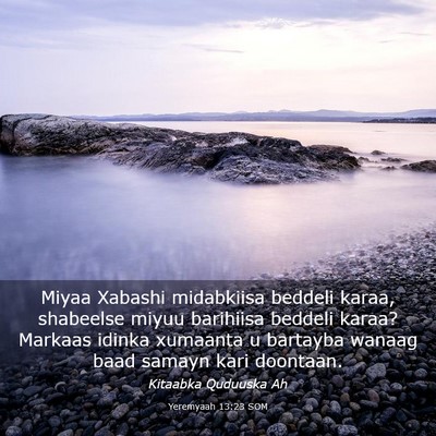 Picture 03 - Yeremyaah 13:23 SOM - Miyaa Xabashi midabkiisa beddeli karaa, shabeelse - Bible Verse Picture