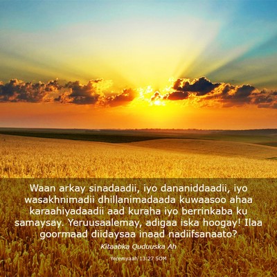 Picture 03 - Yeremyaah 13:27 SOM - Waan arkay sinadaadii, iyo dananiddaadii, iyo - Bible Verse Picture