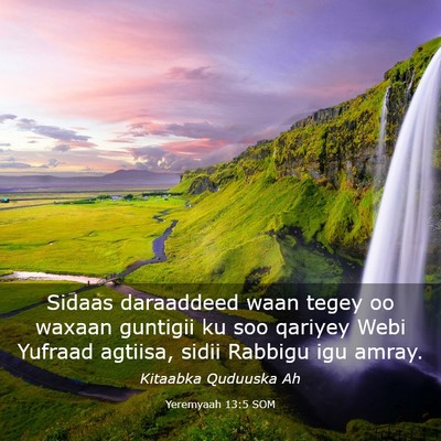 Picture 03 - Yeremyaah 13:5 SOM - Sidaas daraaddeed waan tegey oo waxaan guntigii - Bible Verse Picture