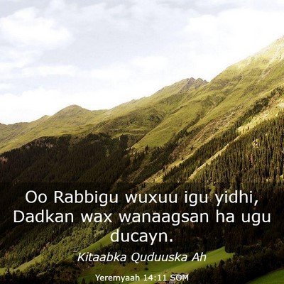 Picture 03 - Yeremyaah 14:11 SOM - Oo Rabbigu wuxuu igu yidhi, Dadkan wax wanaagsan - Bible Verse Picture