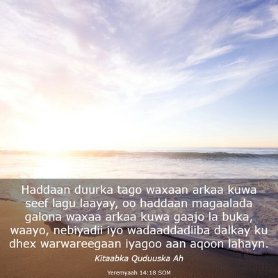 Picture 03 - Yeremyaah 14:18 SOM - Haddaan duurka tago waxaan arkaa kuwa seef lagu - Bible Verse Picture