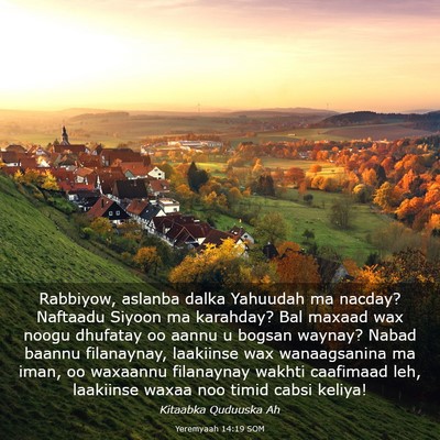 Picture 03 - Yeremyaah 14:19 SOM - Rabbiyow, aslanba dalka Yahuudah ma nacday? - Bible Verse Picture