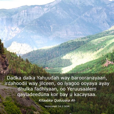 Picture 03 - Yeremyaah 14:2 SOM - Dadka dalka Yahuudah way barooranayaan, - Bible Verse Picture