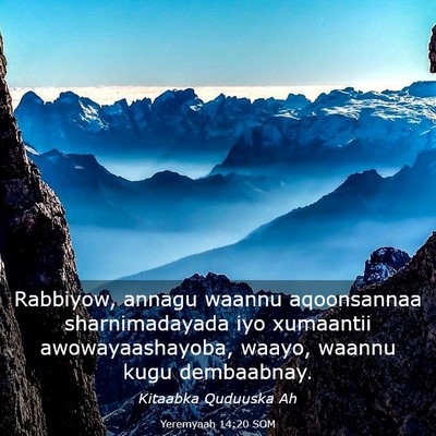 Picture 03 - Yeremyaah 14:20 SOM - Rabbiyow, annagu waannu aqoonsannaa - Bible Verse Picture