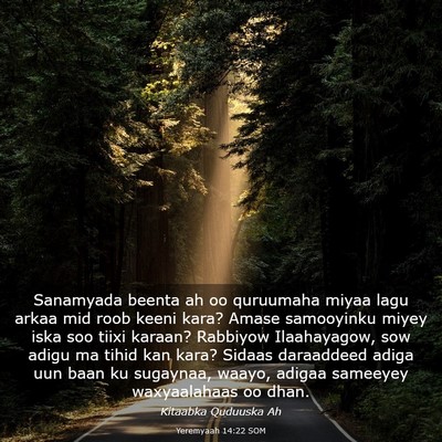 Picture 03 - Yeremyaah 14:22 SOM - Sanamyada beenta ah oo quruumaha miyaa lagu arkaa - Bible Verse Picture