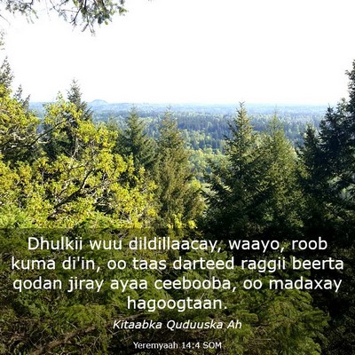 Picture 03 - Yeremyaah 14:4 SOM - Dhulkii wuu dildillaacay, waayo, roob kuma di'in, - Bible Verse Picture