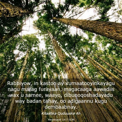 Picture 03 - Yeremyaah 14:7 SOM - Rabbiyow, in kastoo ay xumaatooyinkayagu nagu - Bible Verse Picture