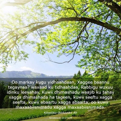 Picture 03 - Yeremyaah 15:2 SOM - Oo markay kugu yidhaahdaan, Xaggee baannu - Bible Verse Picture