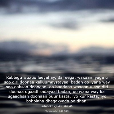 Picture 03 - Yeremyaah 16:16 SOM - Rabbigu wuxuu leeyahay, Bal eega, waxaan iyaga u - Bible Verse Picture
