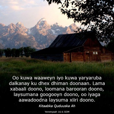 Picture 03 - Yeremyaah 16:6 SOM - Oo kuwa waaweyn iyo kuwa yaryaruba dalkanay ku - Bible Verse Picture