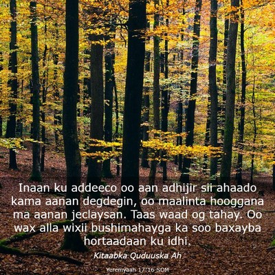 Picture 03 - Yeremyaah 17:16 SOM - Inaan ku addeeco oo aan adhijir sii ahaado kama - Bible Verse Picture