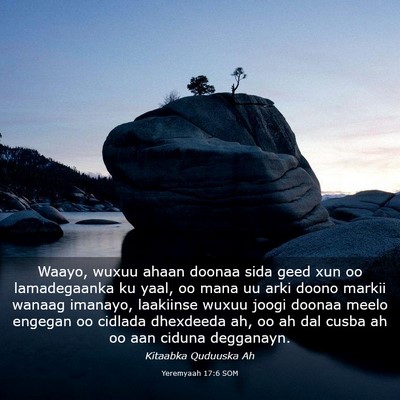 Picture 03 - Yeremyaah 17:6 SOM - Waayo, wuxuu ahaan doonaa sida geed xun oo - Bible Verse Picture