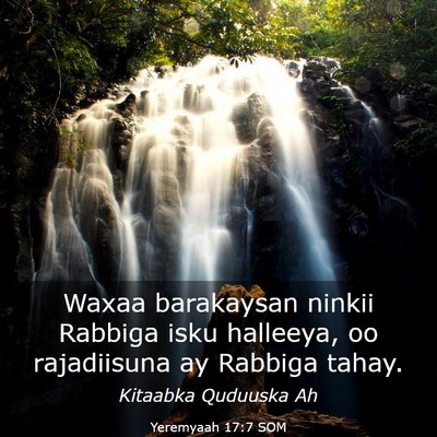 Picture 03 - Yeremyaah 17:7 SOM - Waxaa barakaysan ninkii Rabbiga isku halleeya, oo - Bible Verse Picture