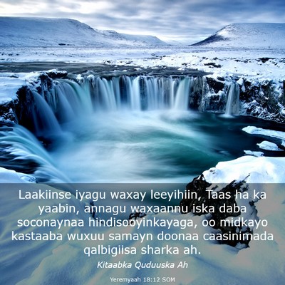 Picture 03 - Yeremyaah 18:12 SOM - Laakiinse iyagu waxay leeyihiin, Taas ha ka - Bible Verse Picture