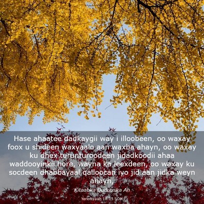 Picture 03 - Yeremyaah 18:15 SOM - Hase ahaatee dadkaygii way i illoobeen, oo waxay - Bible Verse Picture
