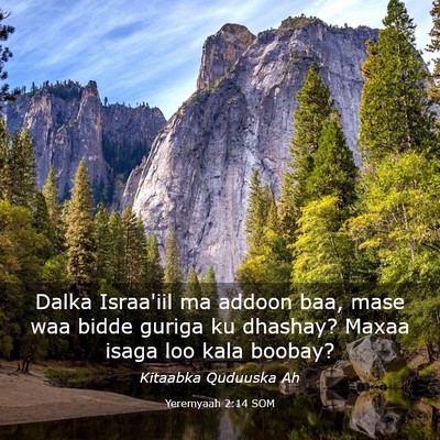 Picture 03 - Yeremyaah 2:14 SOM - Dalka Israa'iil ma addoon baa, mase waa bidde - Bible Verse Picture