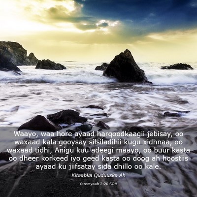 Picture 03 - Yeremyaah 2:20 SOM - Waayo, waa hore ayaad harqoodkaagii jebisay, oo - Bible Verse Picture