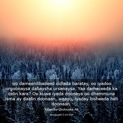 Picture 03 - Yeremyaah 2:24 SOM - iyo dameerdibadeed cidlada baratay, oo iyadoo - Bible Verse Picture