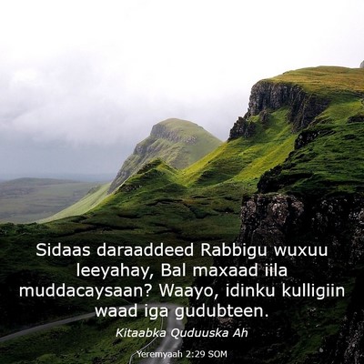 Picture 03 - Yeremyaah 2:29 SOM - Sidaas daraaddeed Rabbigu wuxuu leeyahay, Bal - Bible Verse Picture