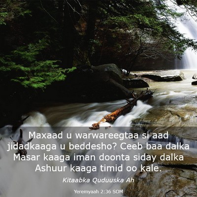 Picture 03 - Yeremyaah 2:36 SOM - Maxaad u warwareegtaa si aad jidadkaaga u - Bible Verse Picture