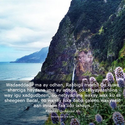 Picture 03 - Yeremyaah 2:8 SOM - Wadaaddadii ma ay odhan, Rabbigii meeh? Oo kuwa - Bible Verse Picture