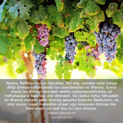Picture 03 - Yeremyaah 20:4 SOM - Waayo, Rabbigu wuxuu leeyahay, Bal eeg, waxaan - Bible Verse Picture