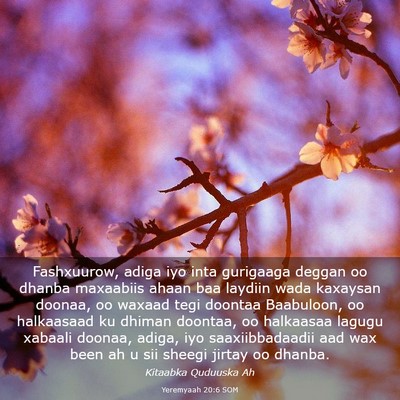 Picture 03 - Yeremyaah 20:6 SOM - Fashxuurow, adiga iyo inta gurigaaga deggan oo - Bible Verse Picture