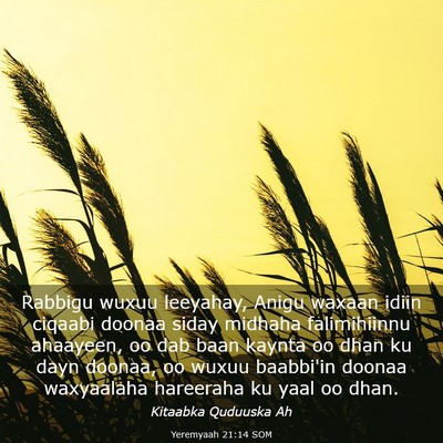 Picture 03 - Yeremyaah 21:14 SOM - Rabbigu wuxuu leeyahay, Anigu waxaan idiin - Bible Verse Picture